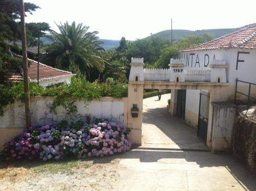 # 38144389 - £2,020,388 - Development Land, Covas do Douro, Sabrosa, Vila Real, Portugal