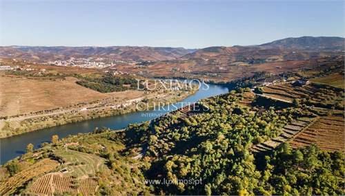 # 41619071 - £568,997 - Land & Build, Samodaes, Lamego, Viseu, Portugal