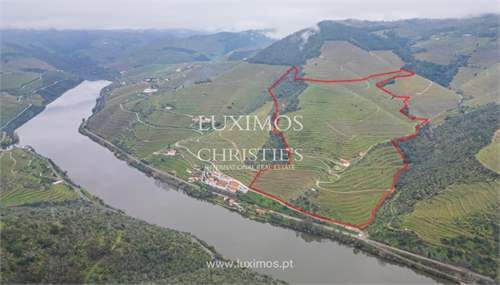 # 41701737 - £5,164,742 - Land & Build, Sabrosa, Vila Real, Portugal