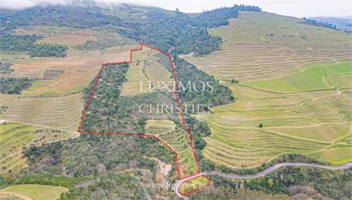 # 41702268 - £306,383 - Land & Build, Sabrosa, Vila Real, Portugal
