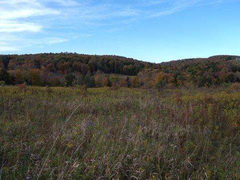 # 25397197 - £67,513 - Land & Build, Cooperstown, Otsego County, New York, USA