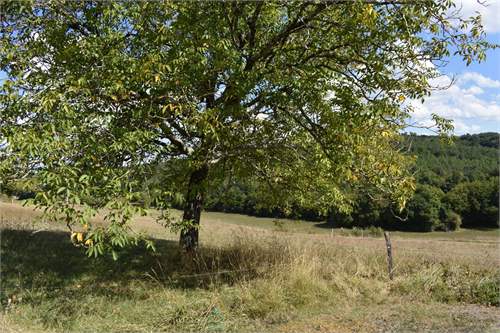 # 41707592 - £275,745 - 3 Bed , Dordogne, Aquitaine, France