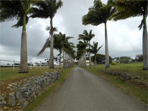 # 6625326 - £11,889,135 - 11 Bed Estate, Lion Castle Tenantry, Saint Thomas, Barbados