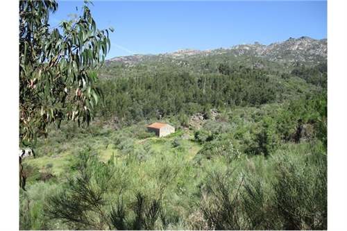 # 41705989 - £25,824 - Land & Build, Castelo Branco, Portugal