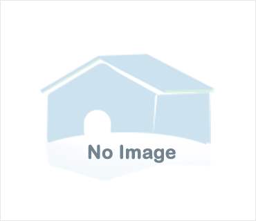 # 12569378 - £1,009,747 - 3 Bed Apartment, Delhi, North Delhi, Delhi, India