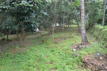 # 30523179 - £268,214 - Agriculture Land, Ernakulam, Ernakulam, Kerala, India