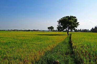 # 30821164 - £189,328 - Agriculture Land, Chennai, Chennai, Tamil Nadu, India