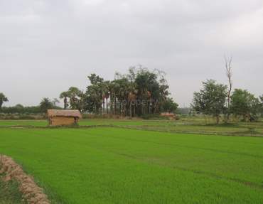 # 30821986 - £26,295 - Agriculture Land, Chennai, Chennai, Tamil Nadu, India