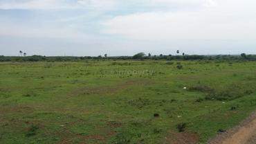 # 30824976 - £1,367,365 - Agriculture Land, Chennai, Chennai, Tamil Nadu, India