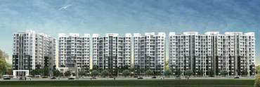 # 31790702 - POA - Apartment, Pune, Pune Division, Maharashtra, India