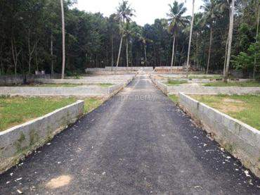 # 36048233 - £4,207 - Building Plot, Thiruvananthapuram, Thiruvananthapuram, Kerala, India
