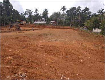 # 36430767 - £41,021 - Building Plot, Kottayam, Kannur, Kerala, India